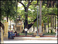 Plaza de Bolívar - Cartagena de Indias